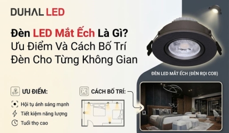 Đèn Led Downlight Mắt Ếch Là Gì? Ưu Điểm Và Cách Bố Trí Đèn Cho Từng Không Gian